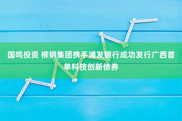 国鸣投资 柳钢集团携手浦发银行成功发行广西首单科技创新债券