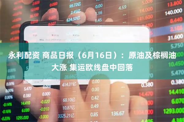 永利配资 商品日报（6月16日）：原油及棕榈油大涨 集运欧线盘中回落