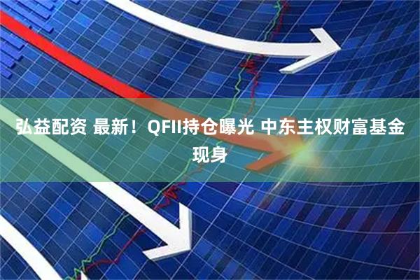 弘益配资 最新！QFII持仓曝光 中东主权财富基金现身