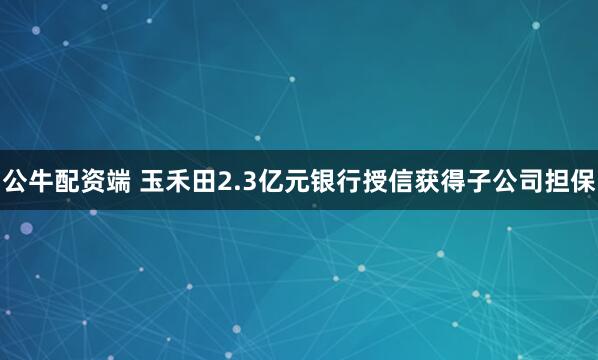 公牛配资端 玉禾田2.3亿元银行授信获得子公司担保